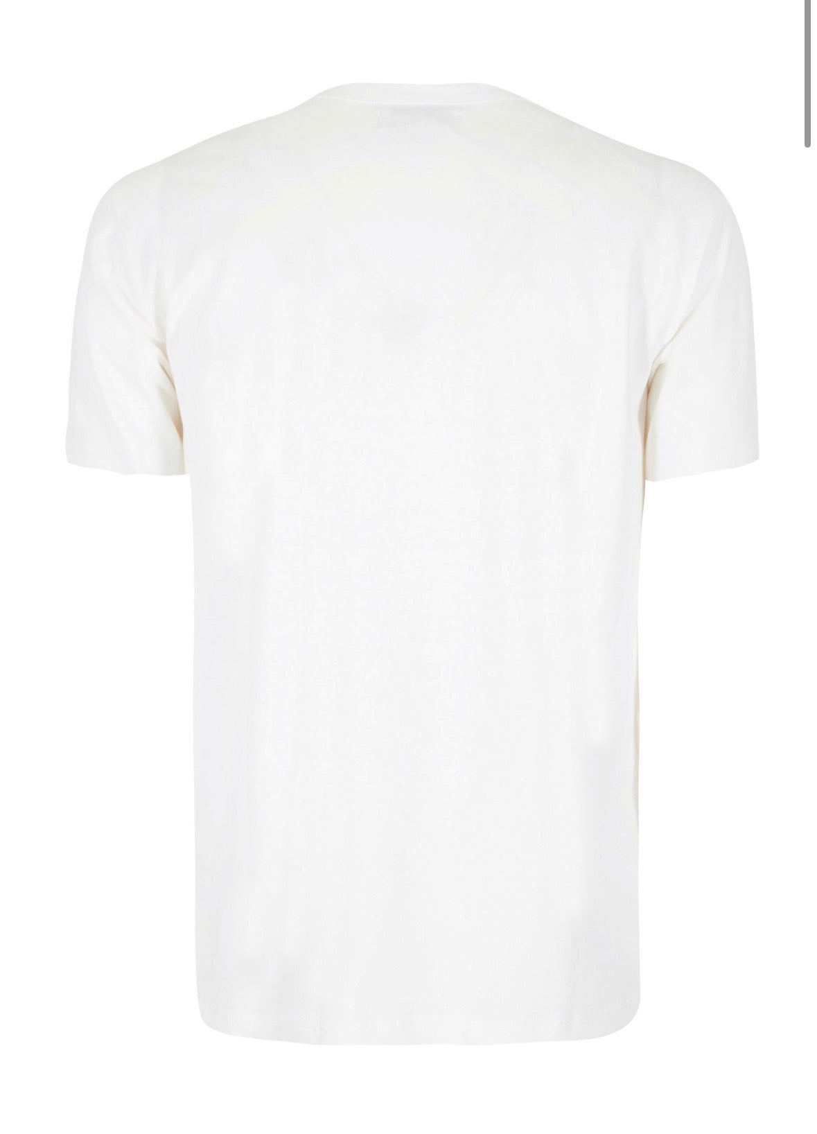 T-shirt uomo m/c YES ZEE